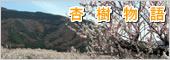 �ǎ�����